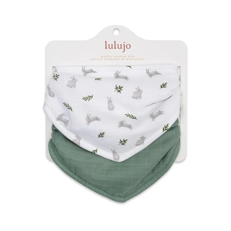 Lulujo Bandana Bibs 2pk