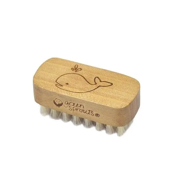 Green Sprouts Baby Nail Brush Natural