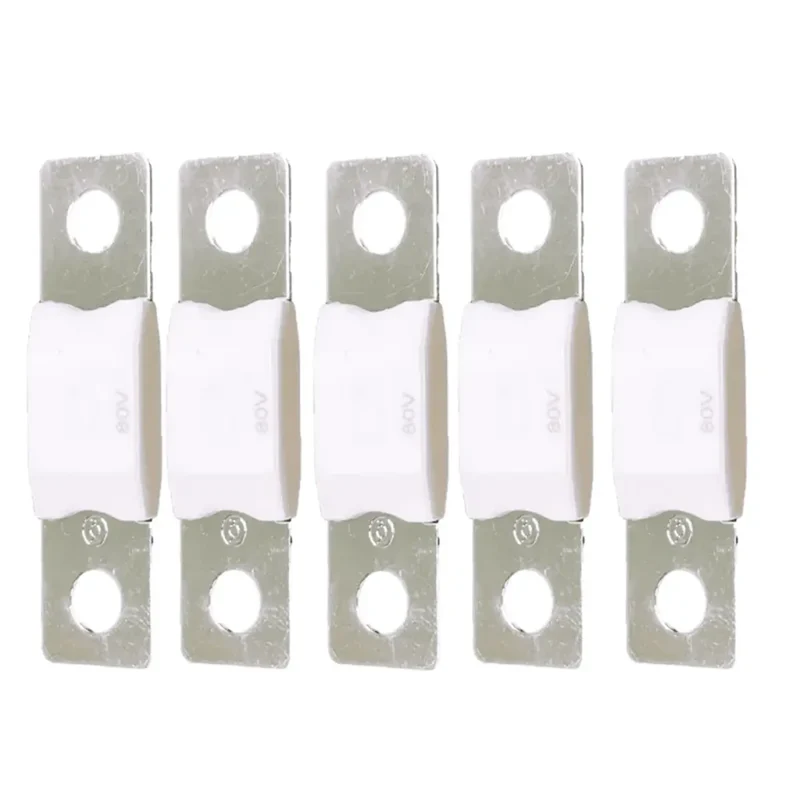 MEGA-fuse 100A/80V (5-pack)