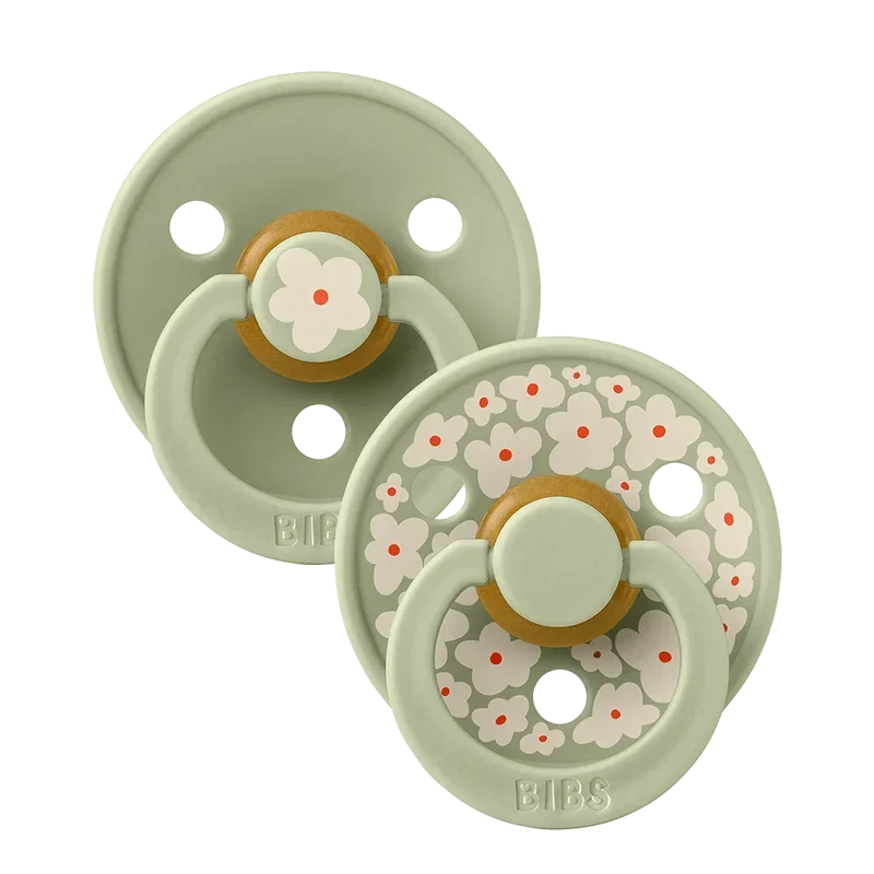 STUDIO Colour Pacifiers 2 Pack Jasmine - Sage Mix
