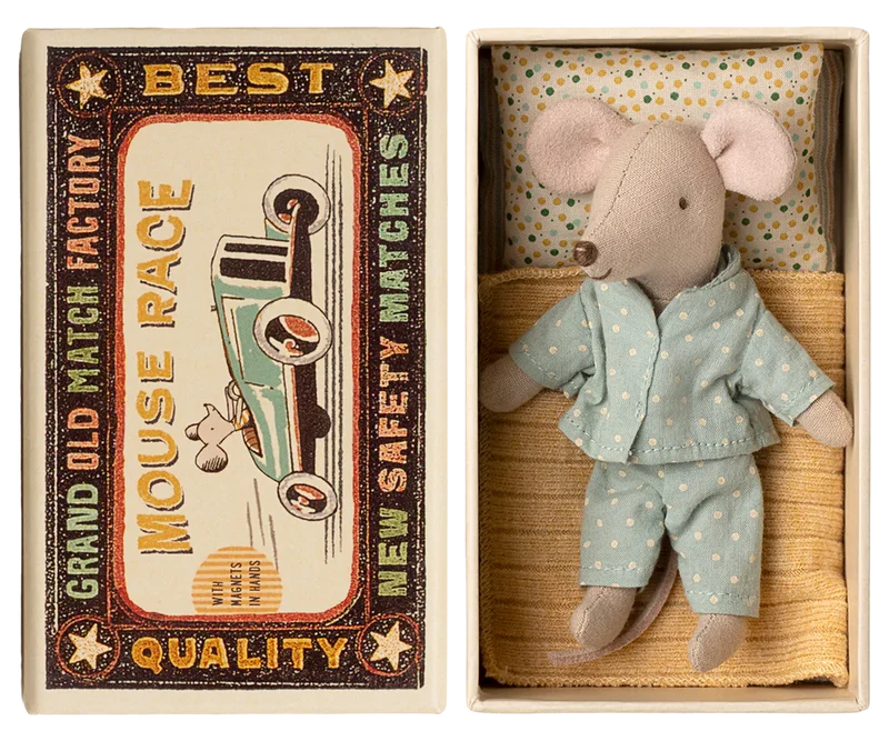 Little brother mouse in matchbox