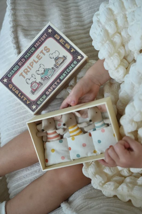 Triplets, Baby mice in matchbox