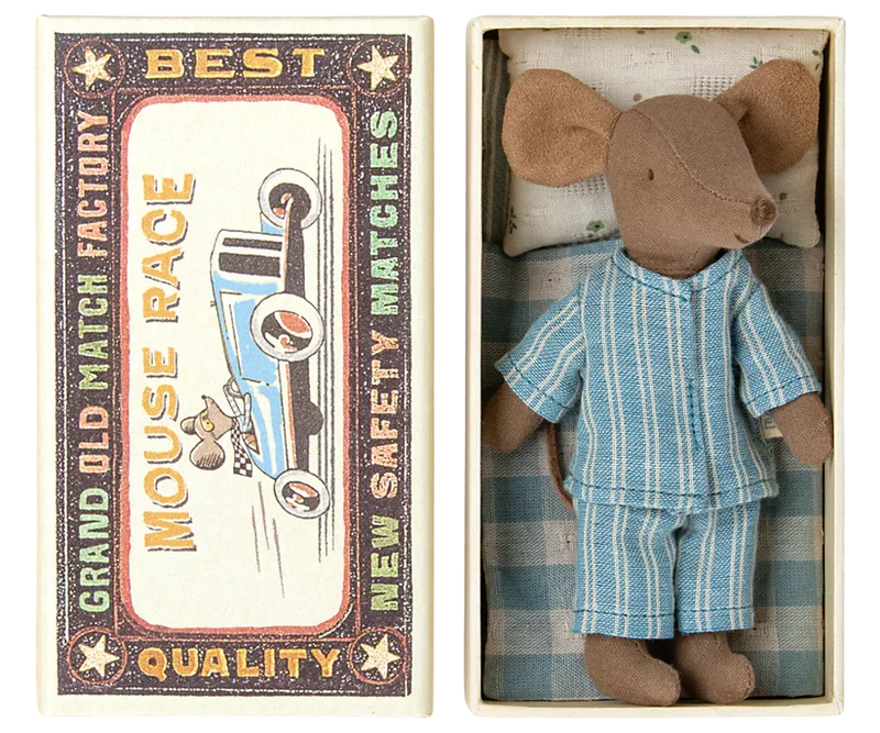 Big brother mouse in matchbox