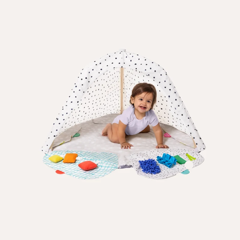 The Play Gym