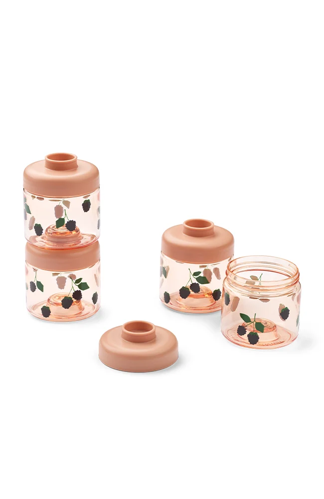 Dominique Baby Food Boxes 4-Pack - Berry/Pale Tuscany