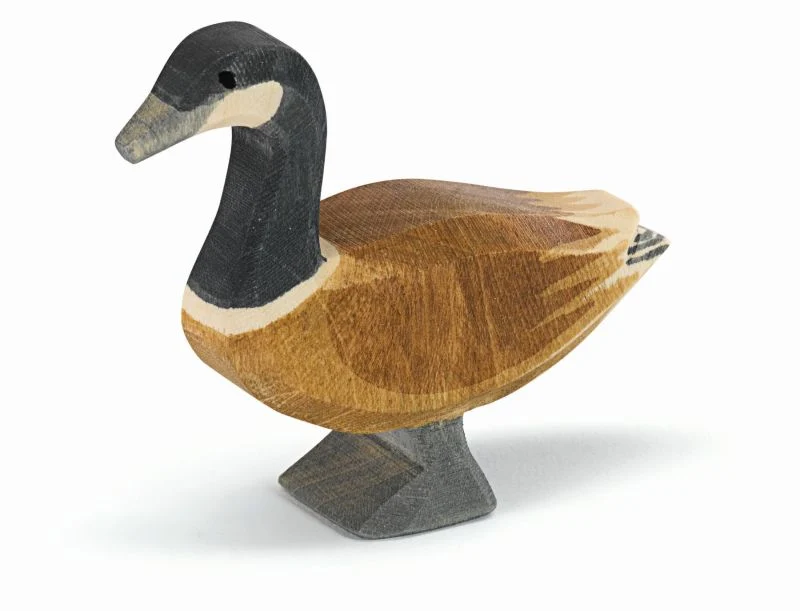 Ostheimer - canadisk gås - stående