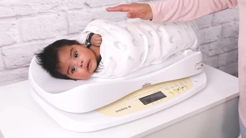 Medela BabyWeigh II Baby Scale Rental