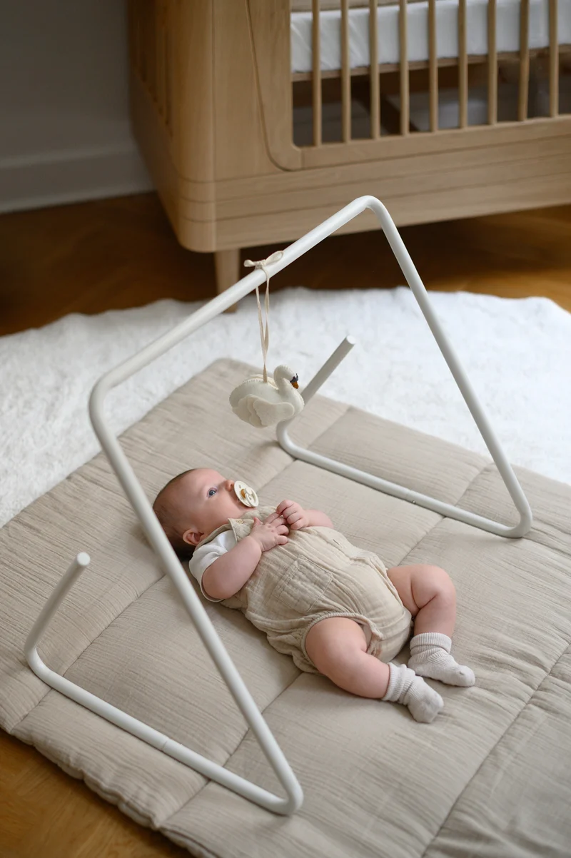 Lotus Babygym