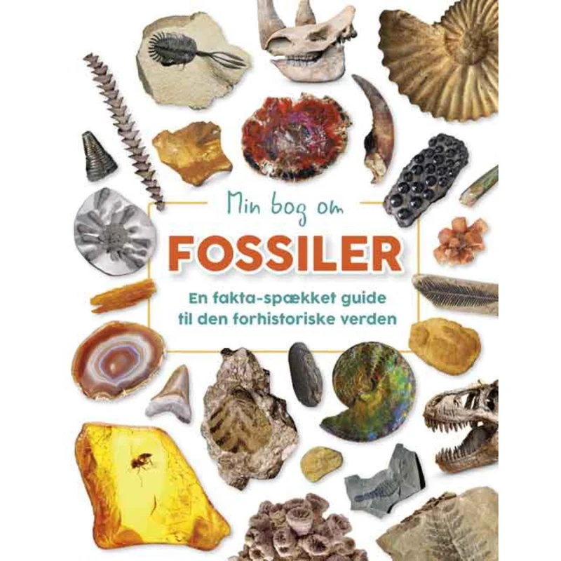 Forlaget Bolden Min Bog Om Fossiler