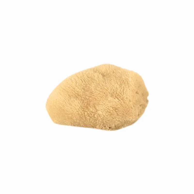 BAJA BABY Sea Sponge