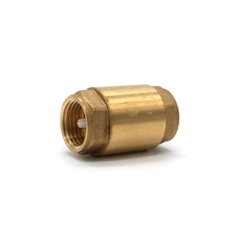 Backventil 1/2" Regular