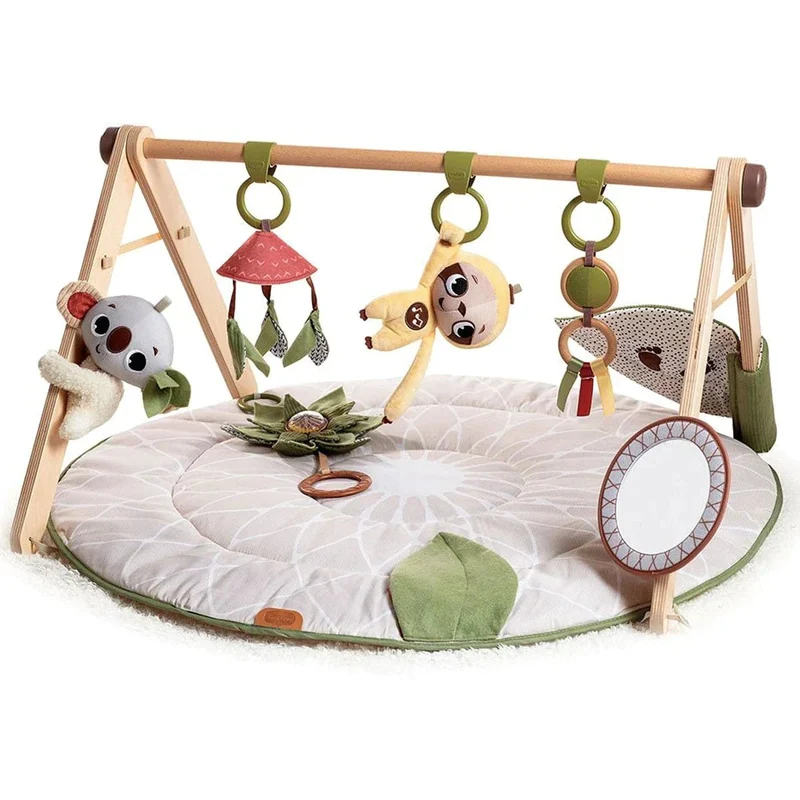 Tiny Love - Boho Chic Luxe Developmental Gymini