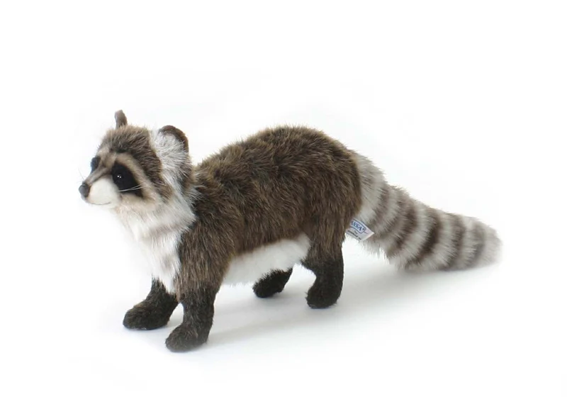 Hansa - RACCOON STANDING